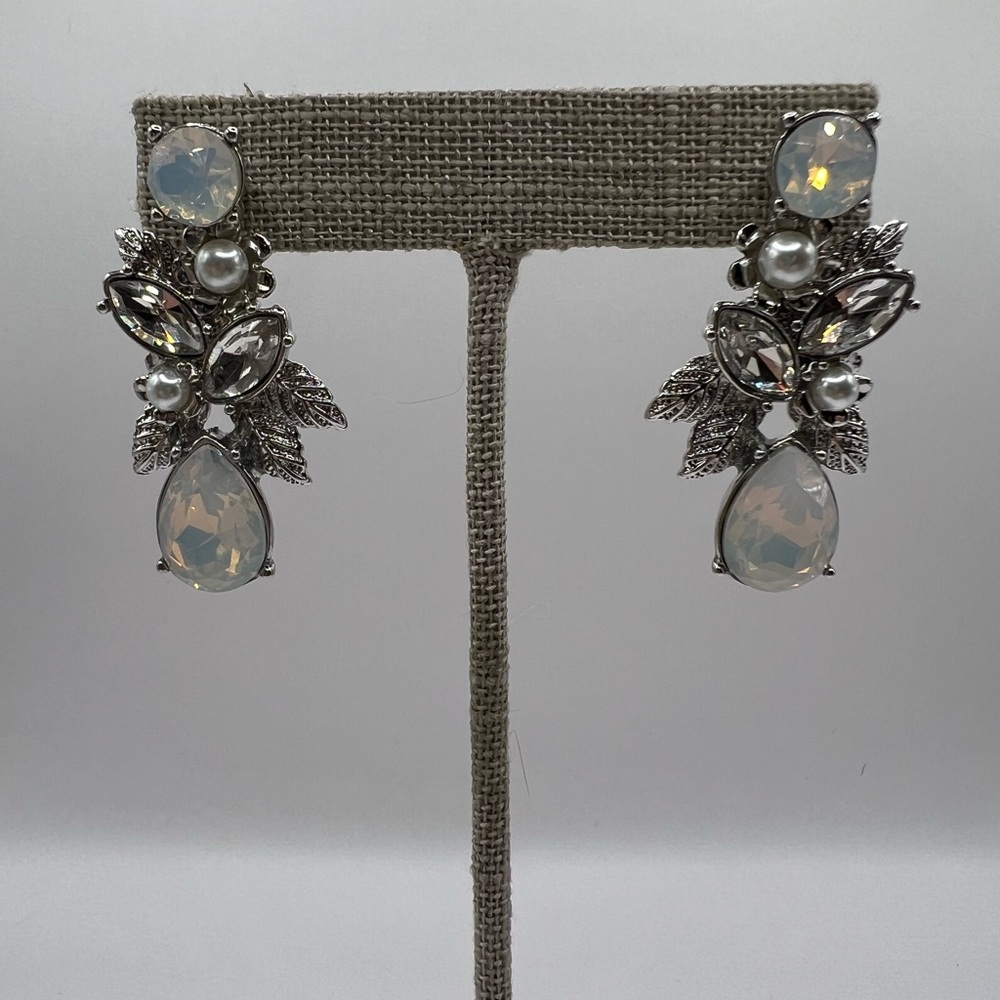 Park Lane Desire Earrings